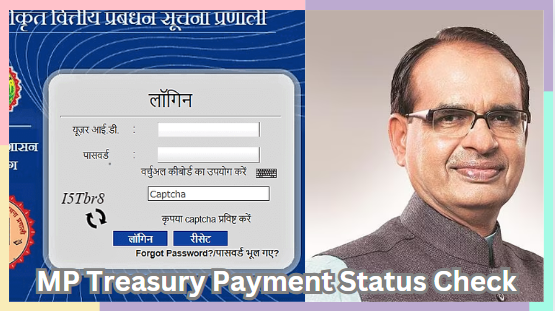 MP Treasury Payment Status