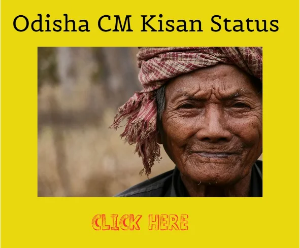 Odisha CM Kisan Status