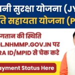 JSY PSY Payment Status