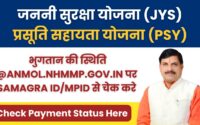 JSY PSY Payment Status