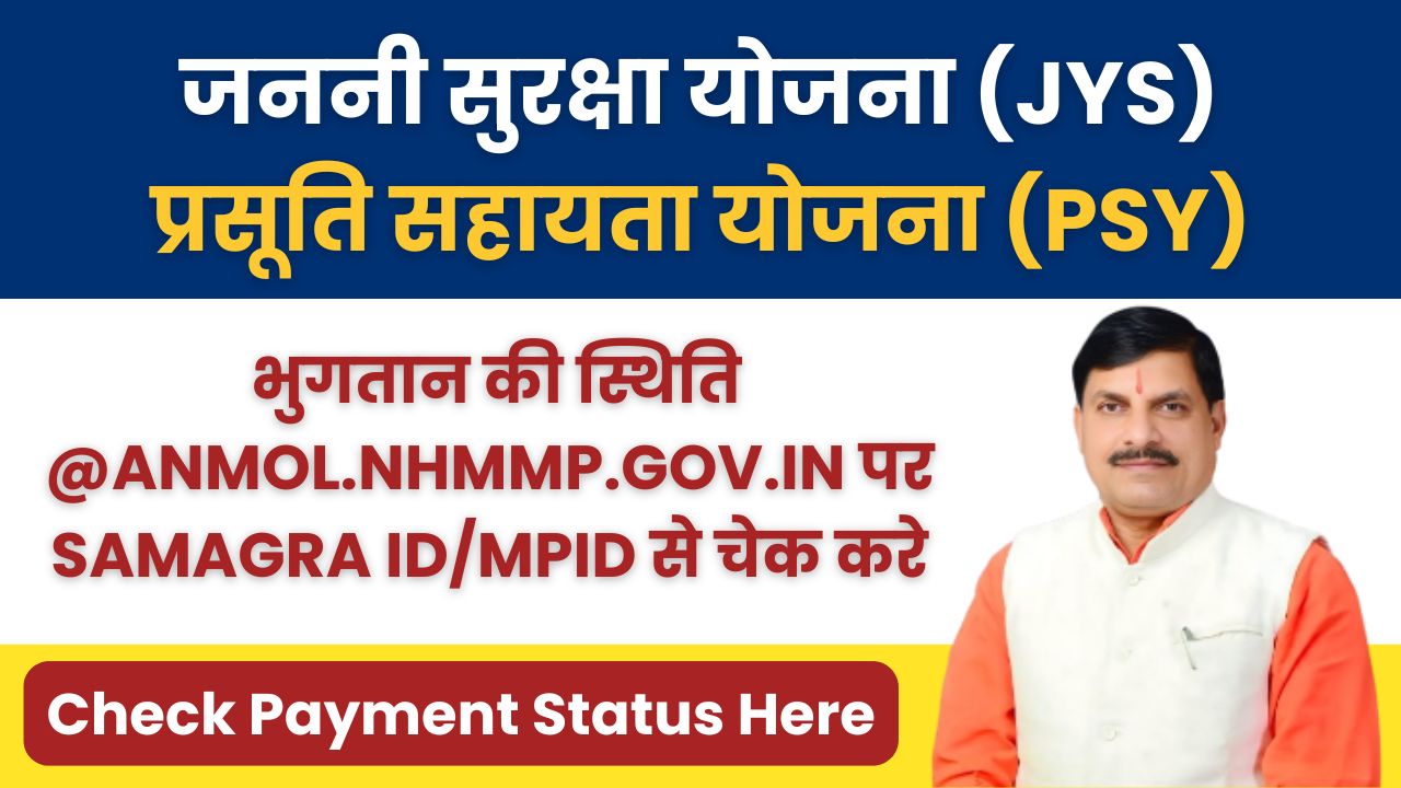 JSY PSY Payment Status